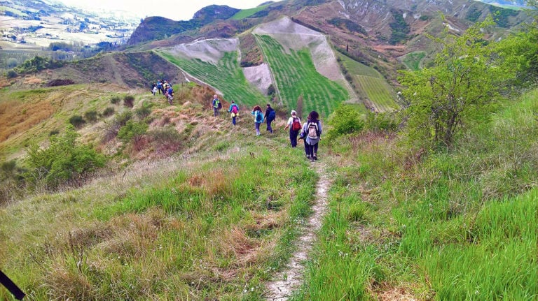 Trekking col treno: il calendario 2025